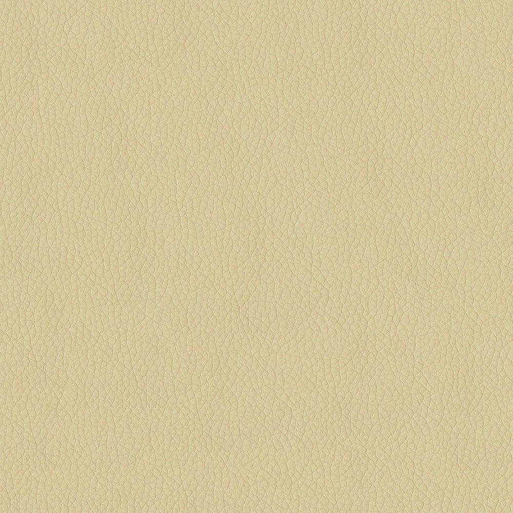 The ReBorn House TRH6002 Performance Faux Leather in Parchment, colorway TRH6002.O