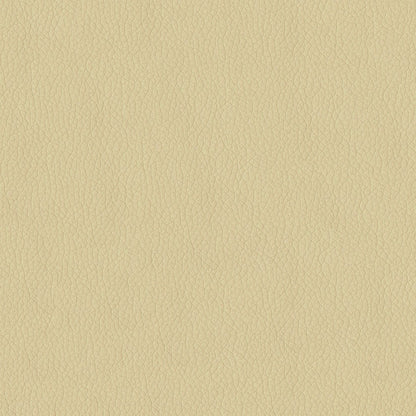 The ReBorn House TRH6002 Performance Faux Leather in Parchment, colorway TRH6002.O