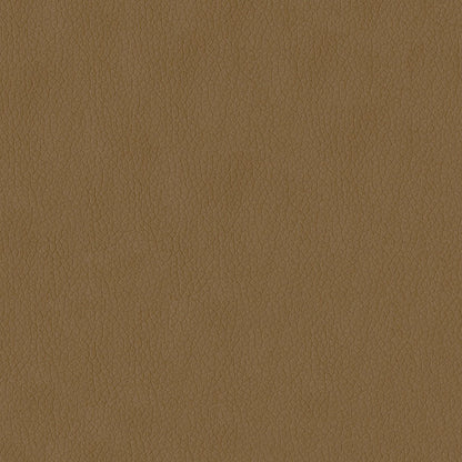 The ReBorn House TRH6002 Performance Faux Leather in Sandstone, colorway TRH6002.P