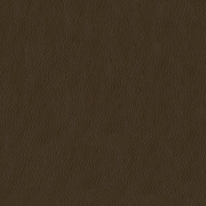 The ReBorn House TRH6002 Performance Faux Leather in Coffee, colorway TRH6002.R