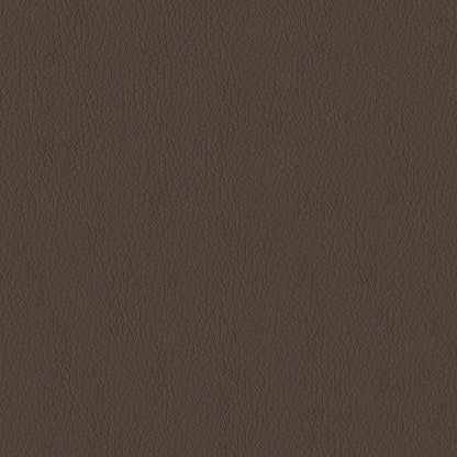The ReBorn House TRH6002 Performance Faux Leather in Mocha, colorway TRH6002.U