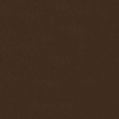 The ReBorn House TRH6002 Performance Faux Leather in Earth, colorway TRH6002.V