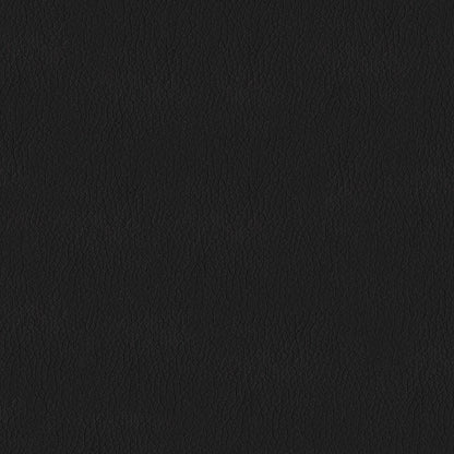 The ReBorn House TRH6002 Performance Faux Leather in Black, colorway TRH6002.Y