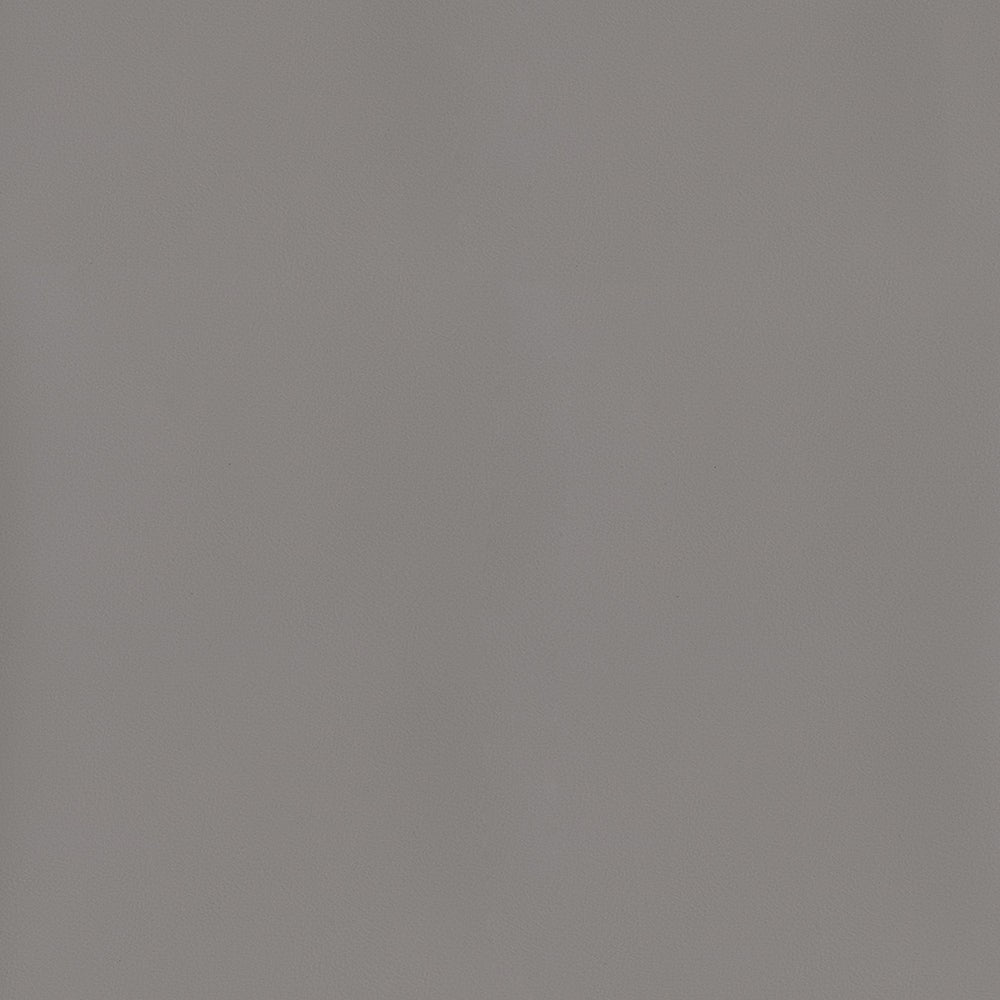 The ReBorn House TRH6003 Contract Vinyl in Platinum, colorway TRH6003.BC