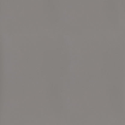 The ReBorn House TRH6003 Contract Vinyl in Platinum, colorway TRH6003.BC