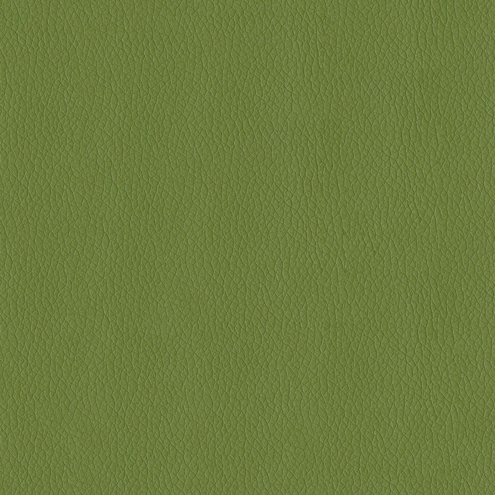 The ReBorn House TRH6004 Faux Leather in Sprig, colorway TRH6004.AA