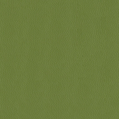 The ReBorn House TRH6004 Faux Leather in Sprig, colorway TRH6004.AA