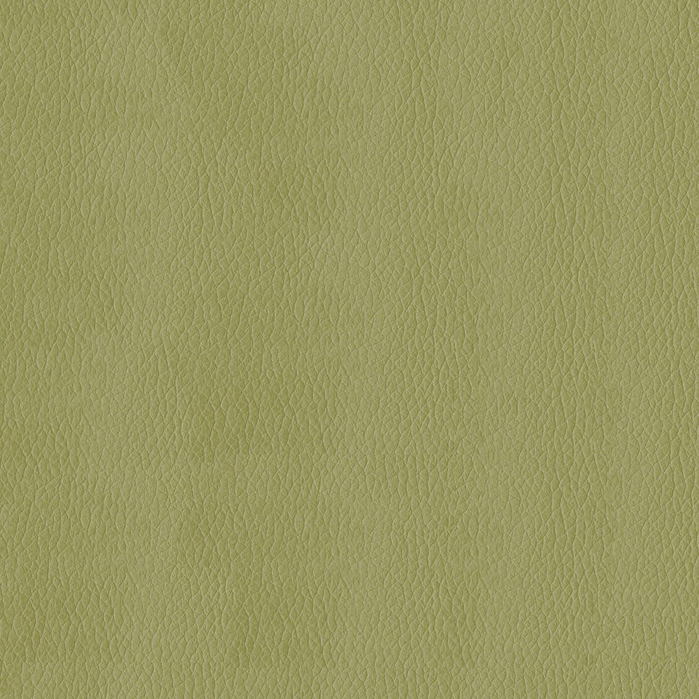 The ReBorn House TRH6004 Faux Leather in Meadow, colorway TRH6004.AB