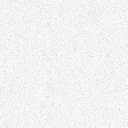 The ReBorn House TRH6004 Faux Leather in White, colorway TRH6004.J