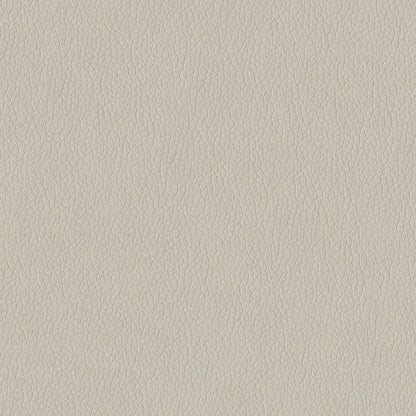The ReBorn House TRH6004 Faux Leather in Grey, colorway TRH6004.K