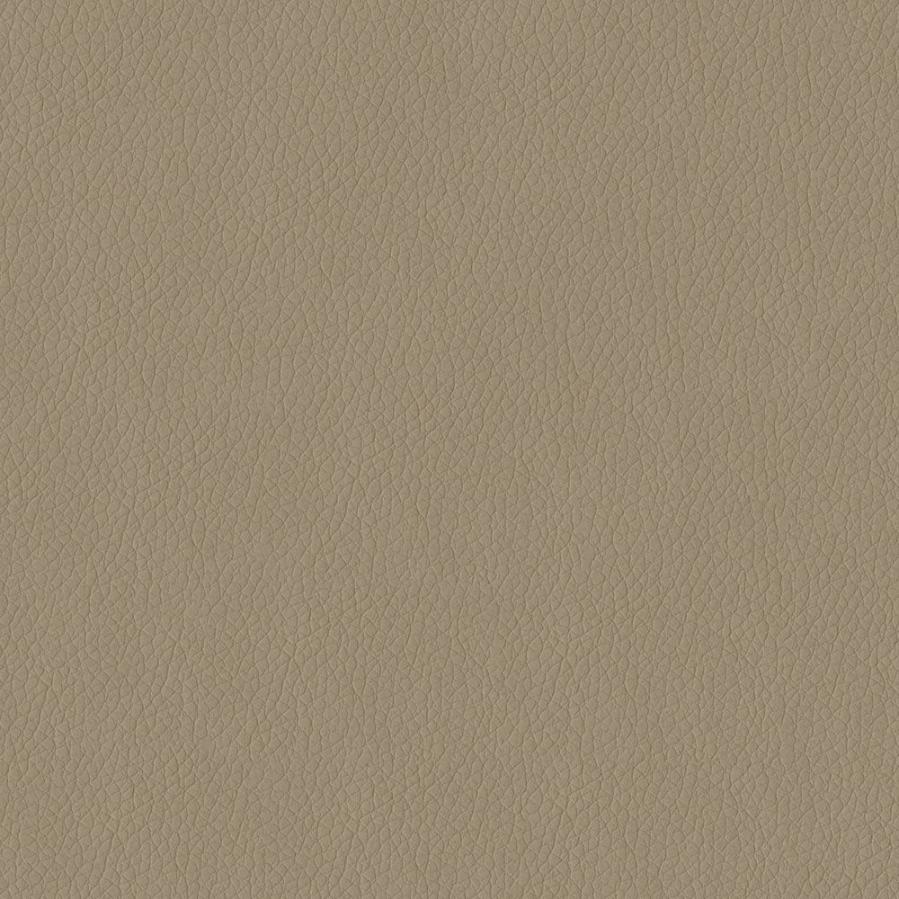 The ReBorn House TRH6004 Faux Leather in Taupe, colorway TRH6004.L