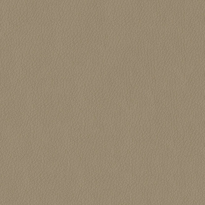 The ReBorn House TRH6004 Faux Leather in Taupe, colorway TRH6004.L