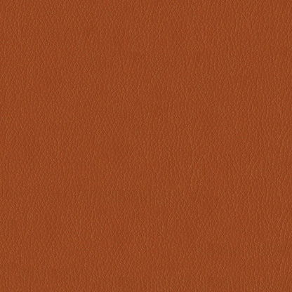 The ReBorn House TRH6004 Faux Leather in Pumpkin Spice, colorway TRH6004.O