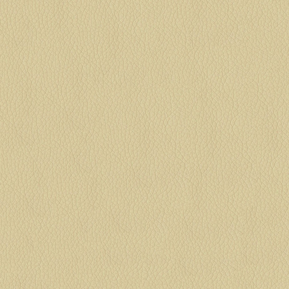 The ReBorn House TRH6004 Faux Leather in Parchment, colorway TRH6004.P