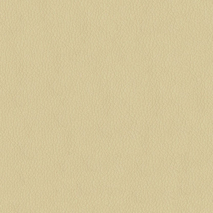 The ReBorn House TRH6004 Faux Leather in Parchment, colorway TRH6004.P