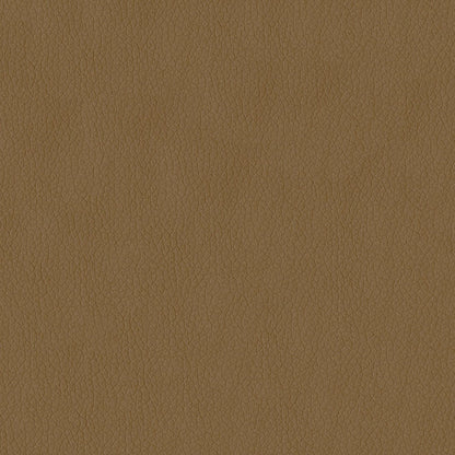 The ReBorn House TRH6004 Faux Leather in Sandstone, colorway TRH6004.Q