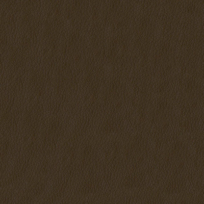 The ReBorn House TRH6004 Faux Leather in Coffee, colorway TRH6004.T