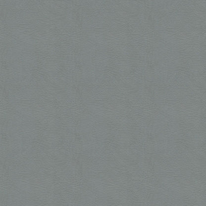The ReBorn House TRH6005 Performance Vinyl in Pewter, colorway TRH6005.AD