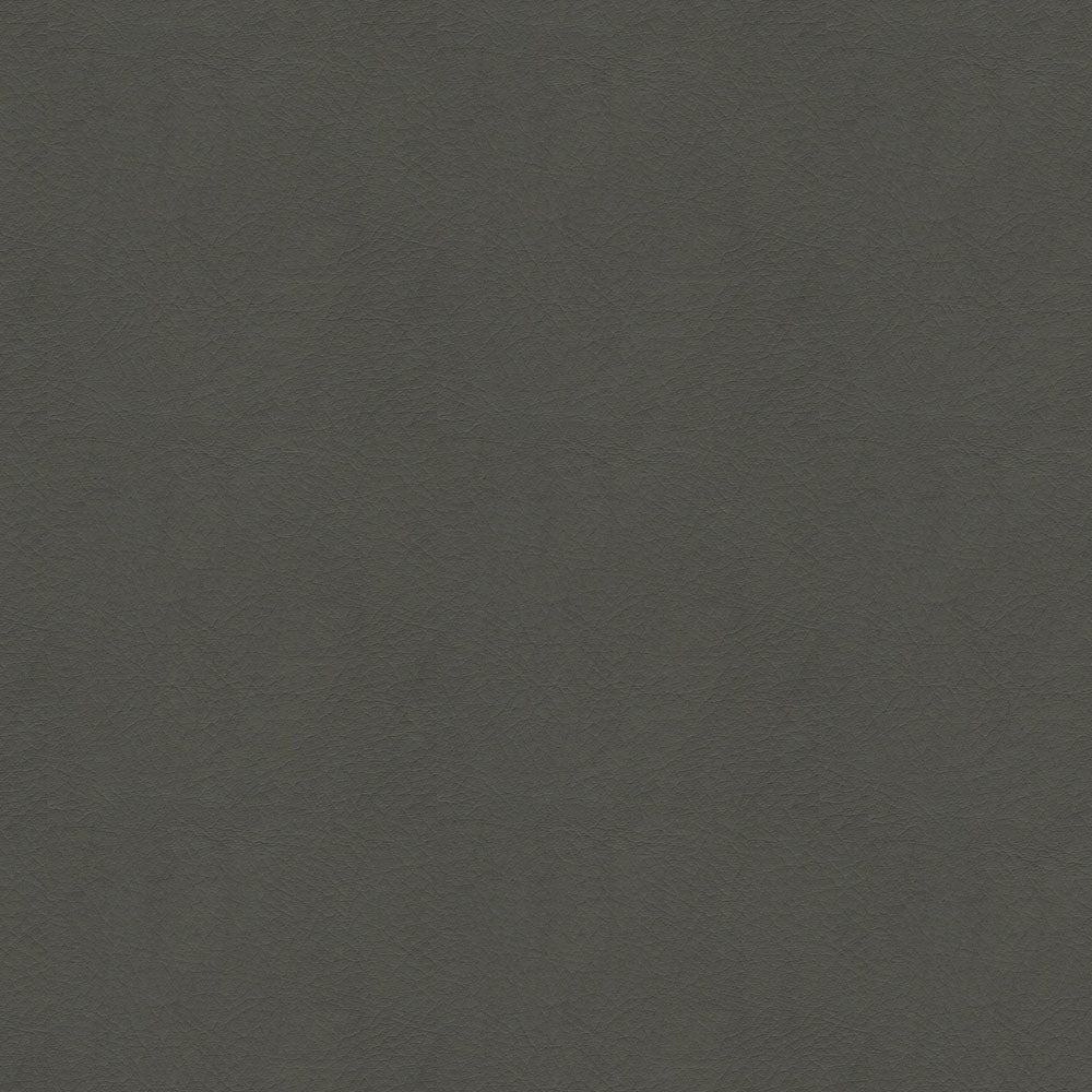 The ReBorn House TRH6005 Performance Vinyl in Storm, colorway TRH6005.AE