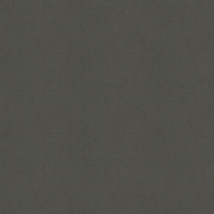 The ReBorn House TRH6005 Performance Vinyl in Storm, colorway TRH6005.AE