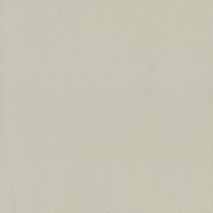 The ReBorn House TRH6005 Performance Vinyl in Powder, colorway TRH6005.AF