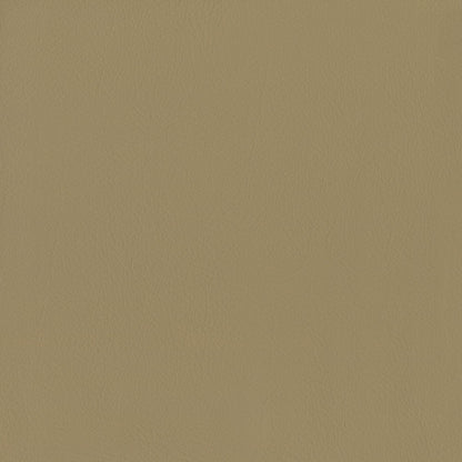 The ReBorn House TRH6005 Performance Vinyl in Sand, colorway TRH6005.AH