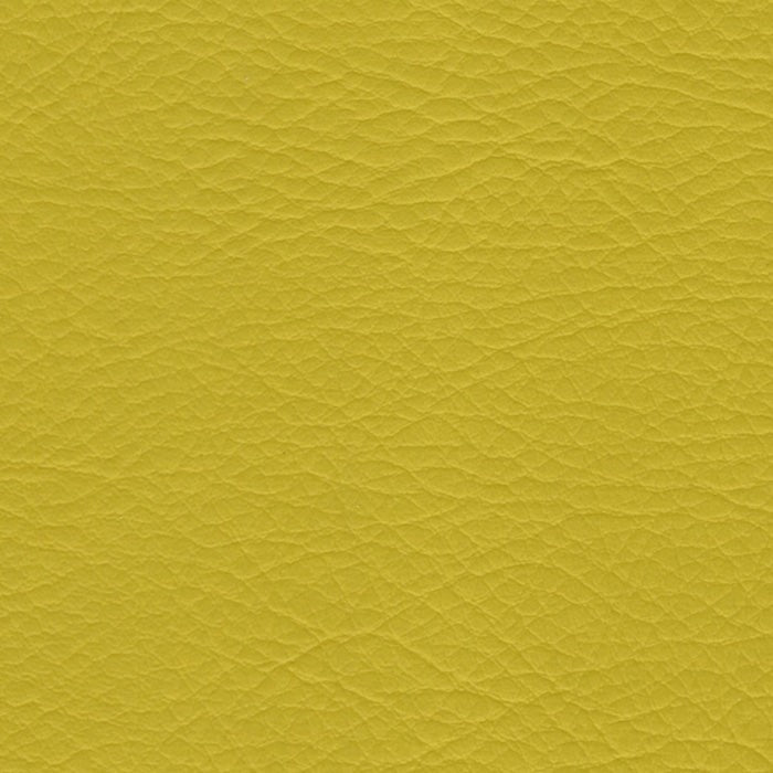 The ReBorn House TRH6005 Performance Vinyl in Zest, colorway TRH6005.C