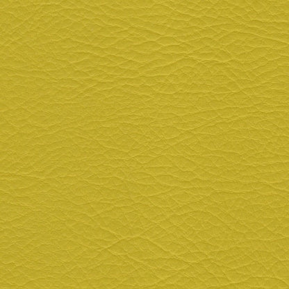 The ReBorn House TRH6005 Performance Vinyl in Zest, colorway TRH6005.C