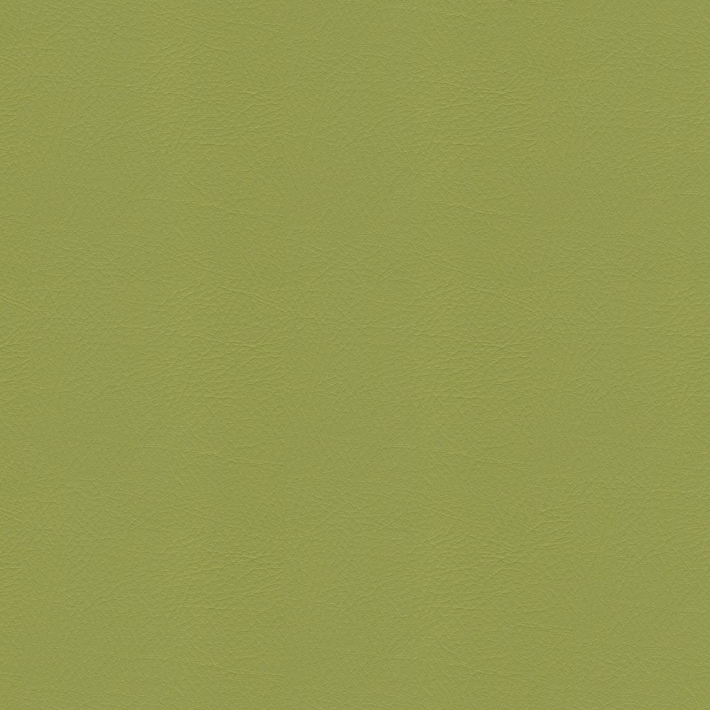 The ReBorn House TRH6005 Performance Vinyl in Sassafras, colorway TRH6005.D