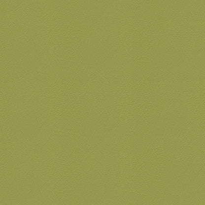 The ReBorn House TRH6005 Performance Vinyl in Sassafras, colorway TRH6005.D
