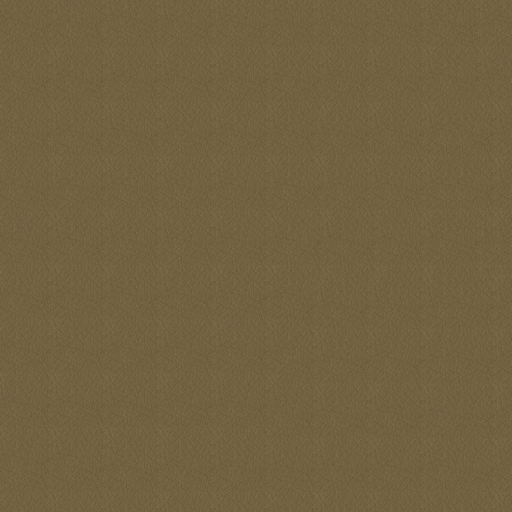 The ReBorn House TRH6005 Performance Vinyl in Cappuccino, colorway TRH6005.O
