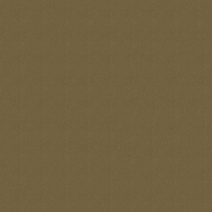 The ReBorn House TRH6005 Performance Vinyl in Cappuccino, colorway TRH6005.O