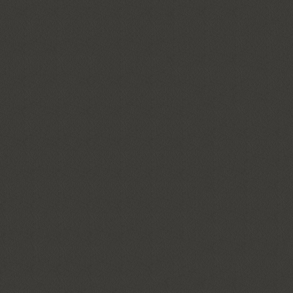 The ReBorn House TRH6005 Performance Vinyl in Charcoal, colorway TRH6005.U