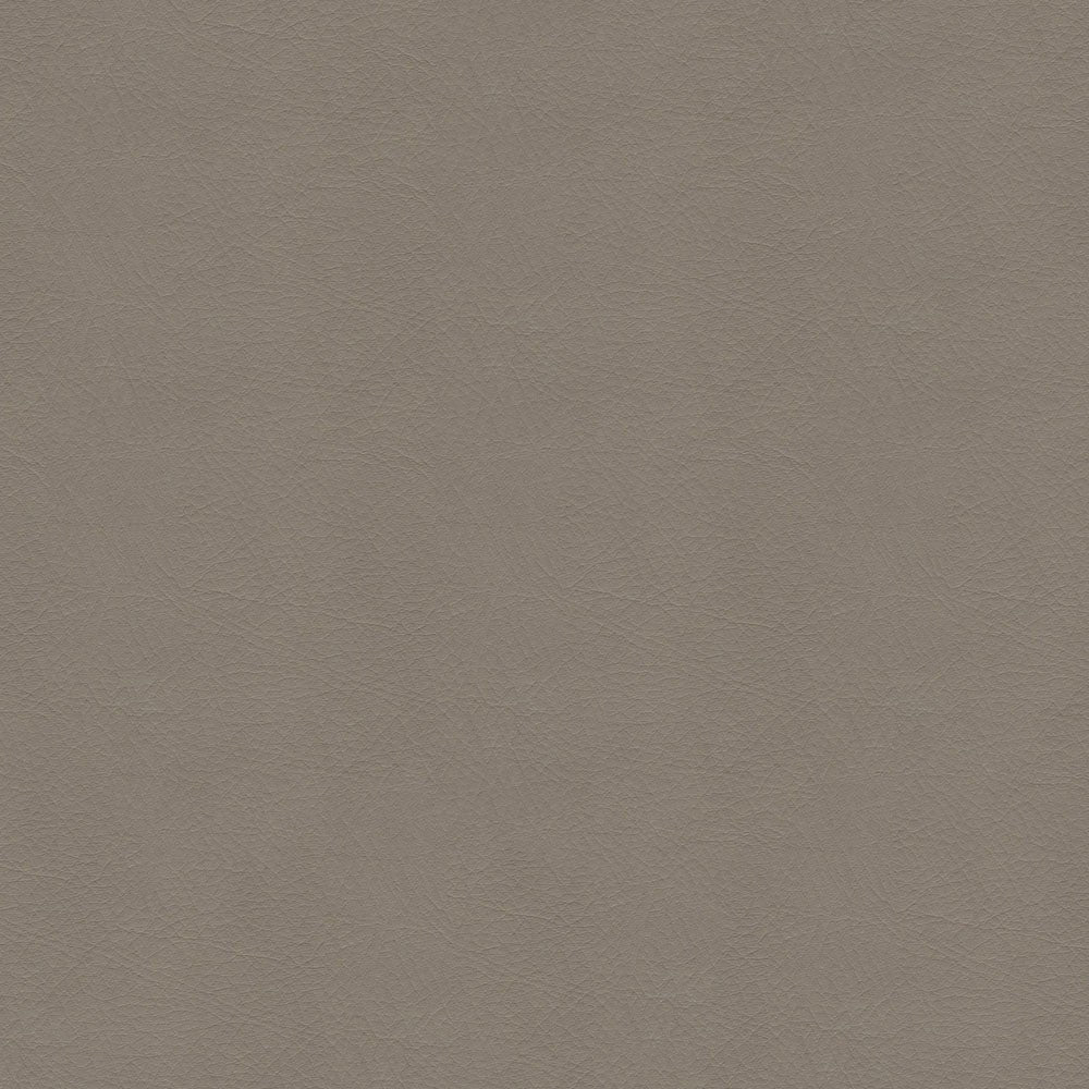 The ReBorn House TRH6005 Performance Vinyl in Fawn, colorway TRH6005.Z