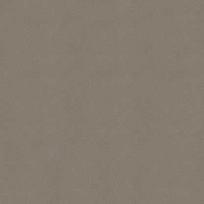 The ReBorn House TRH6005 Performance Vinyl in Fawn, colorway TRH6005.Z