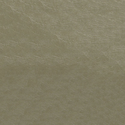 The ReBorn House TRH6006 Distressed Faux Leather in Pumice, colorway TRH6006.B