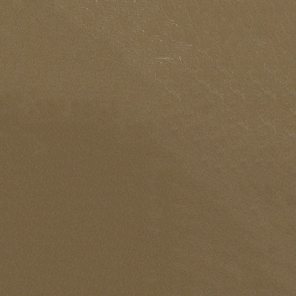 The ReBorn House TRH6006 Distressed Faux Leather in Tannery, colorway TRH6006.F