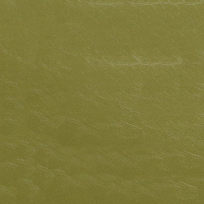 The ReBorn House TRH6006 Distressed Faux Leather in Kiwi, colorway TRH6006.I