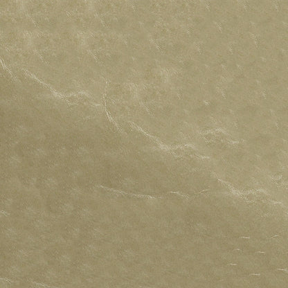 The ReBorn House TRH6006 Distressed Faux Leather in Beach, colorway TRH6006.P