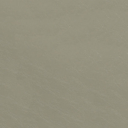 The ReBorn House TRH6006 Distressed Faux Leather in Haze, colorway TRH6006.S