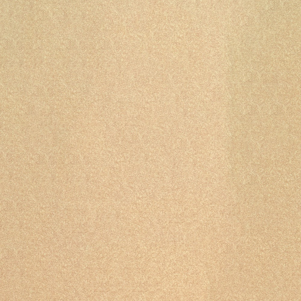 The ReBorn House TRH6007 Performance Fabric in Oatmeal, colorway TRH6007.I