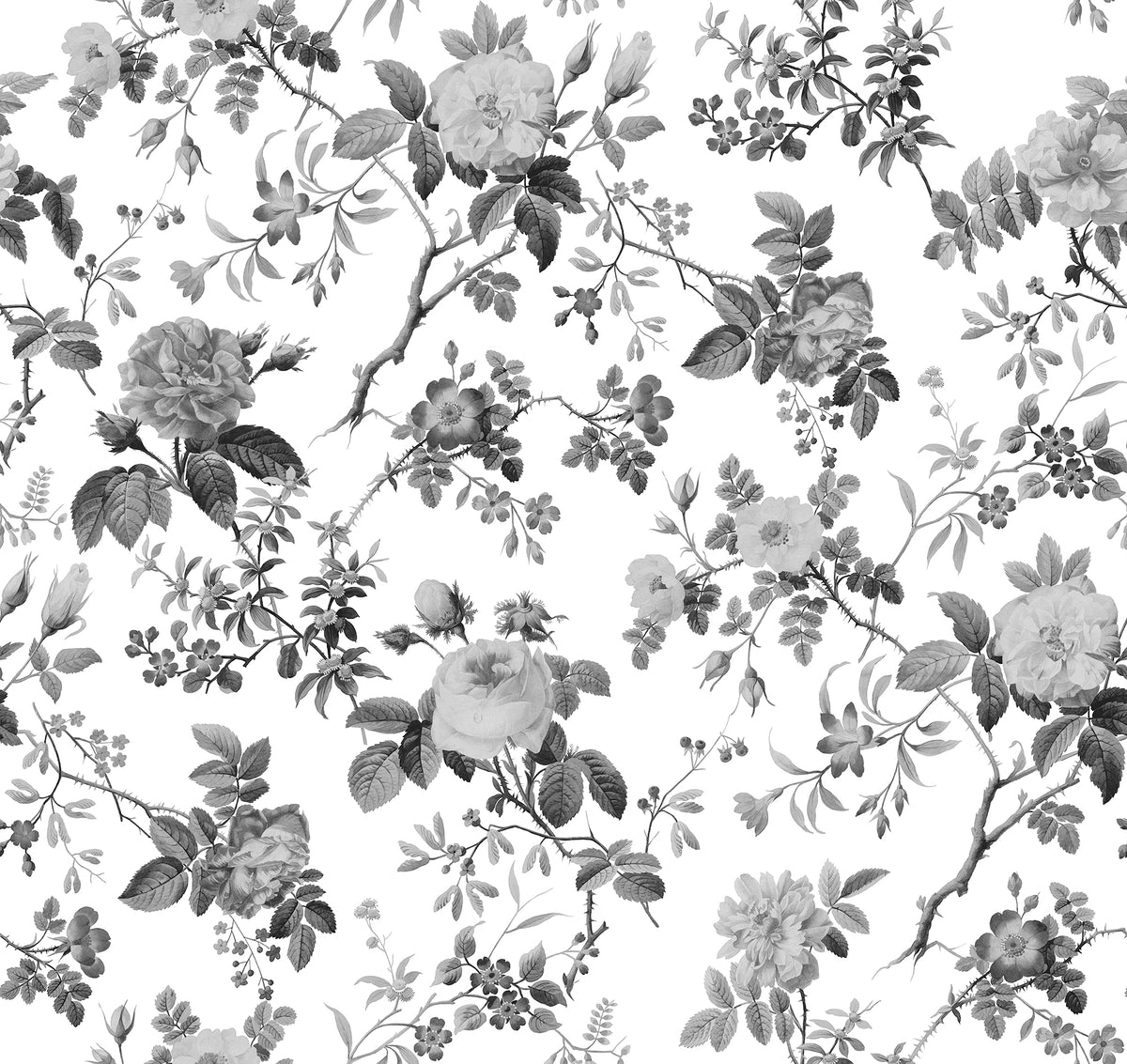 Thorn Rose Graphite mural by Rebel Walls