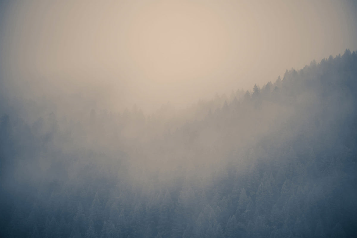 Through the Clouds Neutral mural by Hovia
