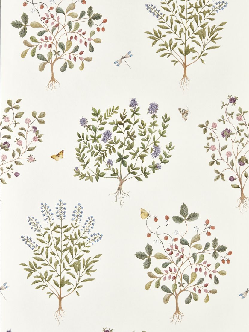 Thyme Walk Wallpaper by Sanderson Damson/Quince
