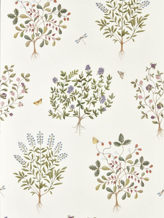 Thyme Walk Wallpaper by Sanderson Damson/Quince