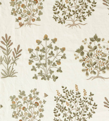 Thyme Walk Fabric by Sanderson Lichen/Gooseberry
