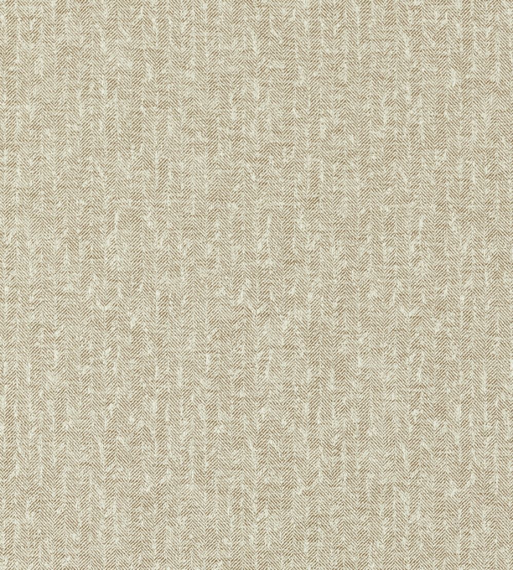 Tierra Fabric by Clarke & Clarke Antique