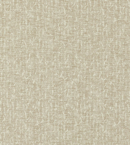Tierra Fabric by Clarke & Clarke Antique