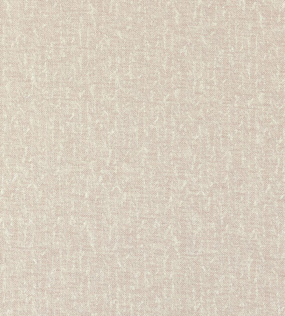Tierra Fabric by Clarke & Clarke Blush