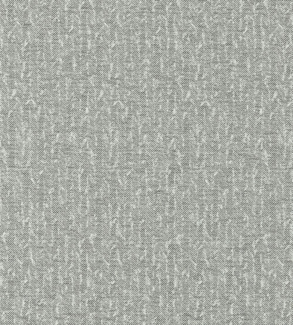 Tierra Fabric by Clarke & Clarke Charcoal